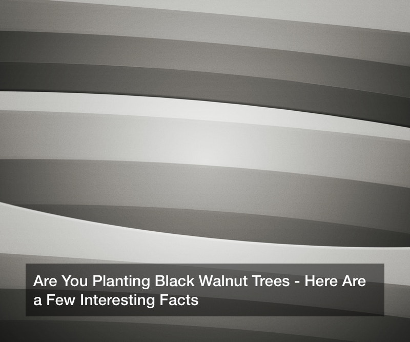 Are You Planting Black Walnut Trees? Here Are a Few Interesting Facts