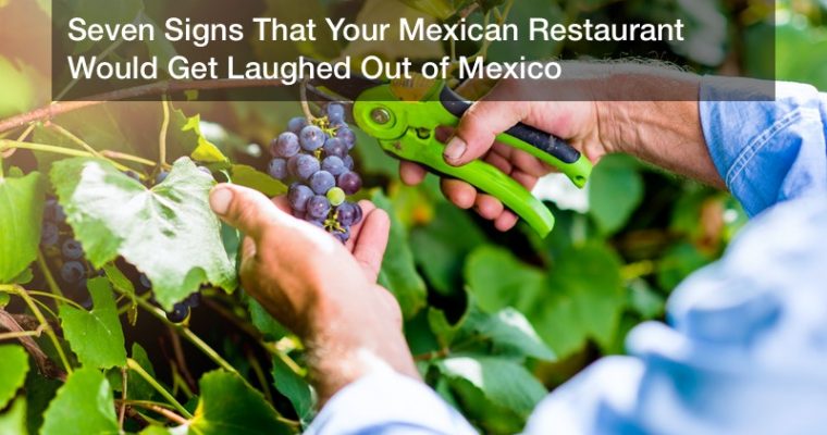 Seven Signs That Your Mexican Restaurant Would Get Laughed Out of Mexico