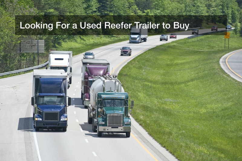 Looking For a Used Reefer Trailer to Buy